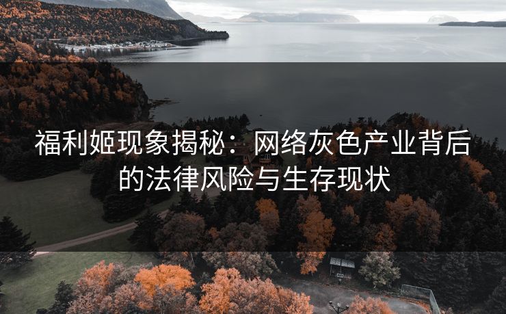 福利姬现象揭秘:网络灰色产业背后的法律风险与生存现状