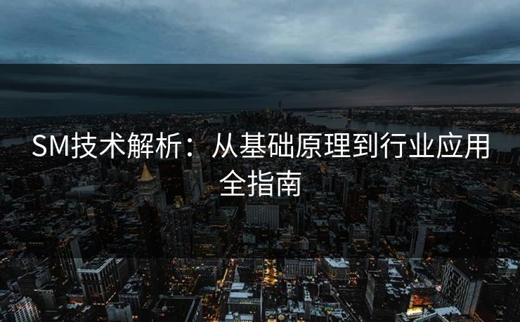 SM技术解析：从基础原理到行业应用全指南