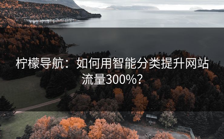 柠檬导航：如何用智能分类提升网站流量300%？